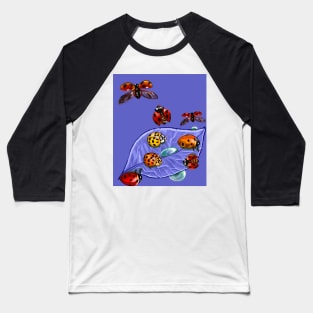 A group of lady bugs is called a loveliness - purple background Baseball T-Shirt